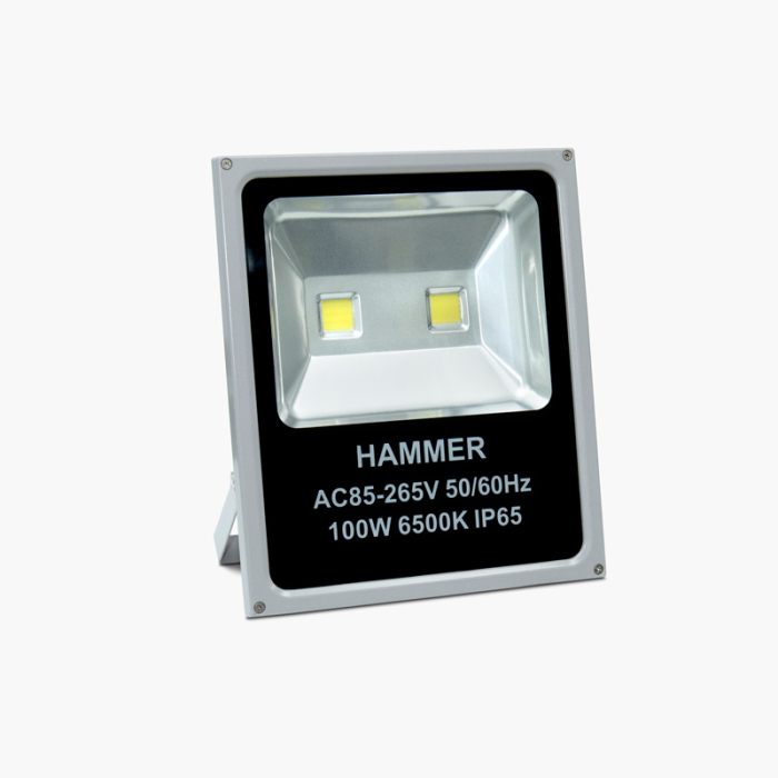 Hammer 100W Led Flood Light IP65, ED-TGD04006